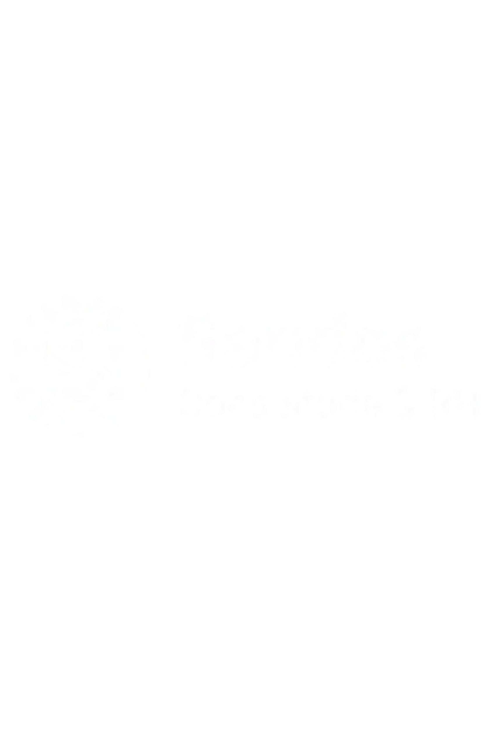 Sandes Consultoria & RH